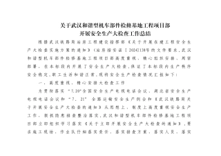 安全生产大检查工作总结