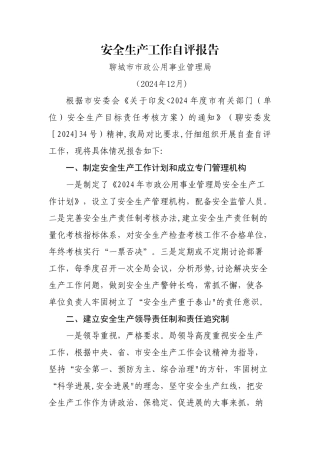 安全生产工作自评报告