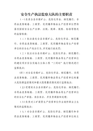 安全生产执法监察大队的主要职责