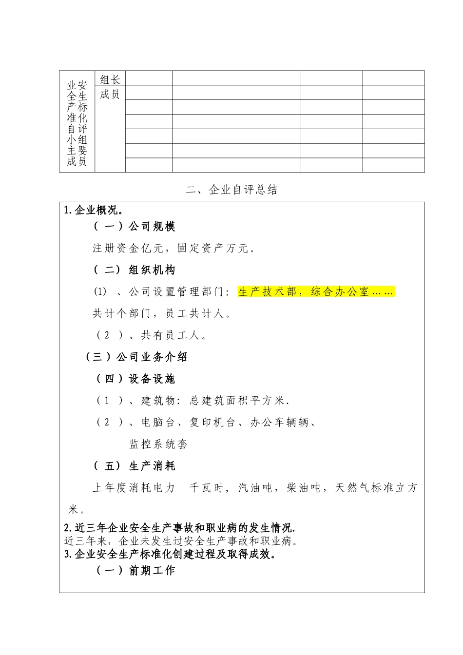 安全生产标准化三级自评报告_第2页