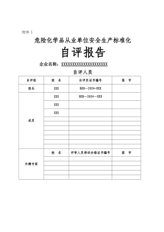 安全生产标准化年度自评报告