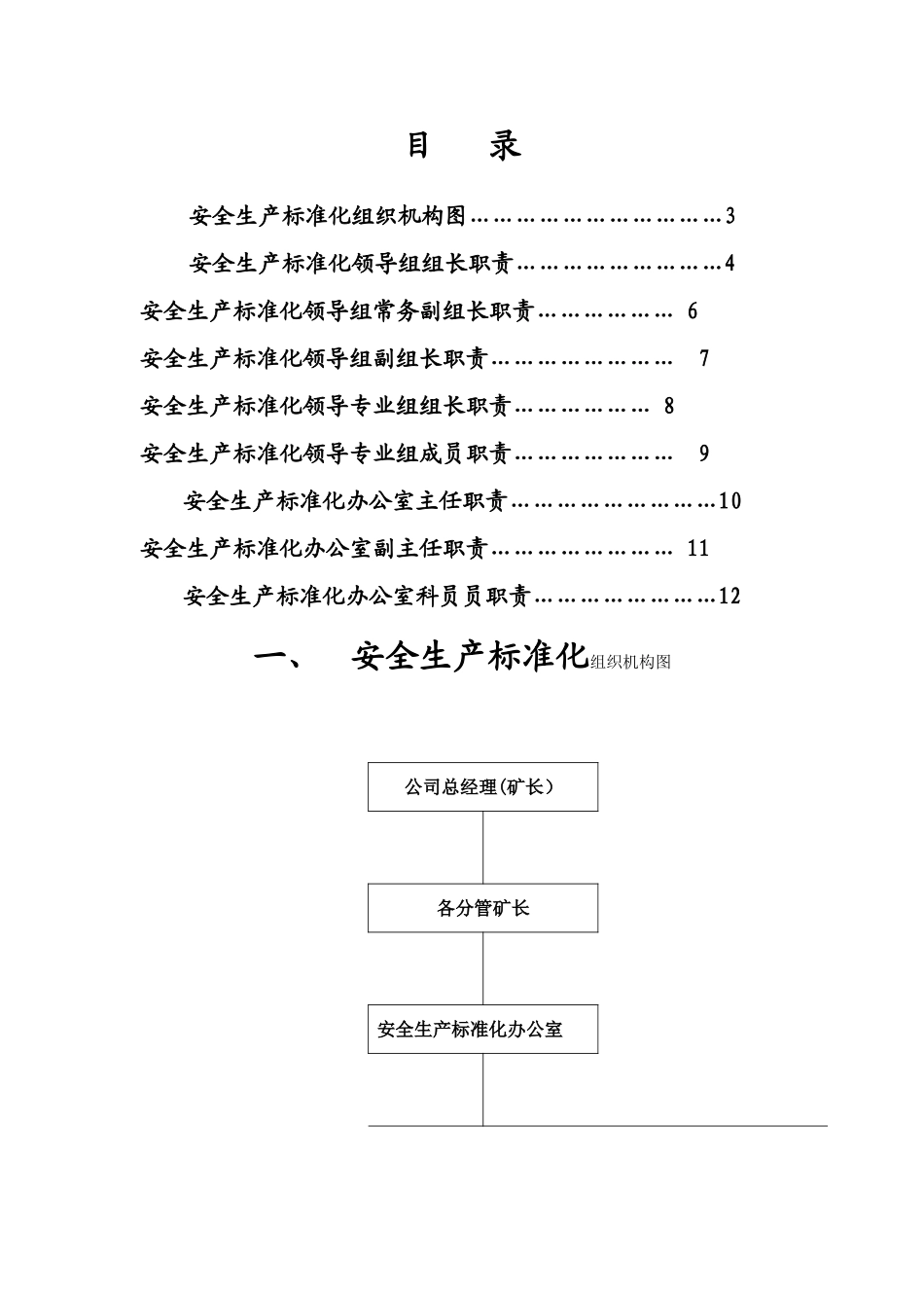 安全生产标准化组织机构各岗位职责_第2页