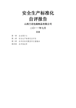 安全生产标准化自评报告(范本)