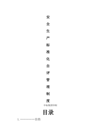 安全生产标准化自评管理制度24011