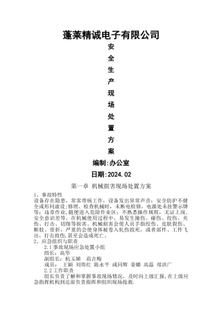 安全生产现场处置方案
