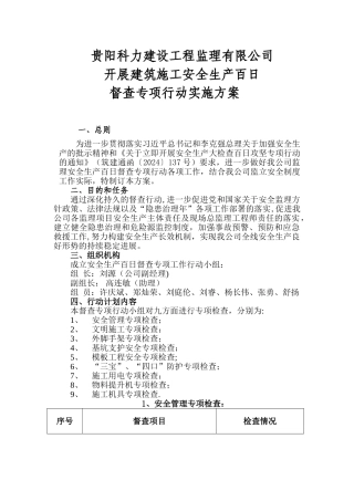 安全生产百日督查专项行动监理方案-secret