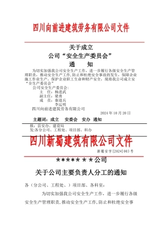 安全生产管理机构和配置专职安全生产管理人员文件部分