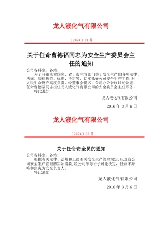 安全生产管理机构负责人的任命文件