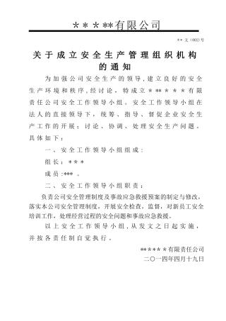 安全生产管理组织机构、人员任命书
