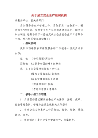 安全生产组织机构(文件1)