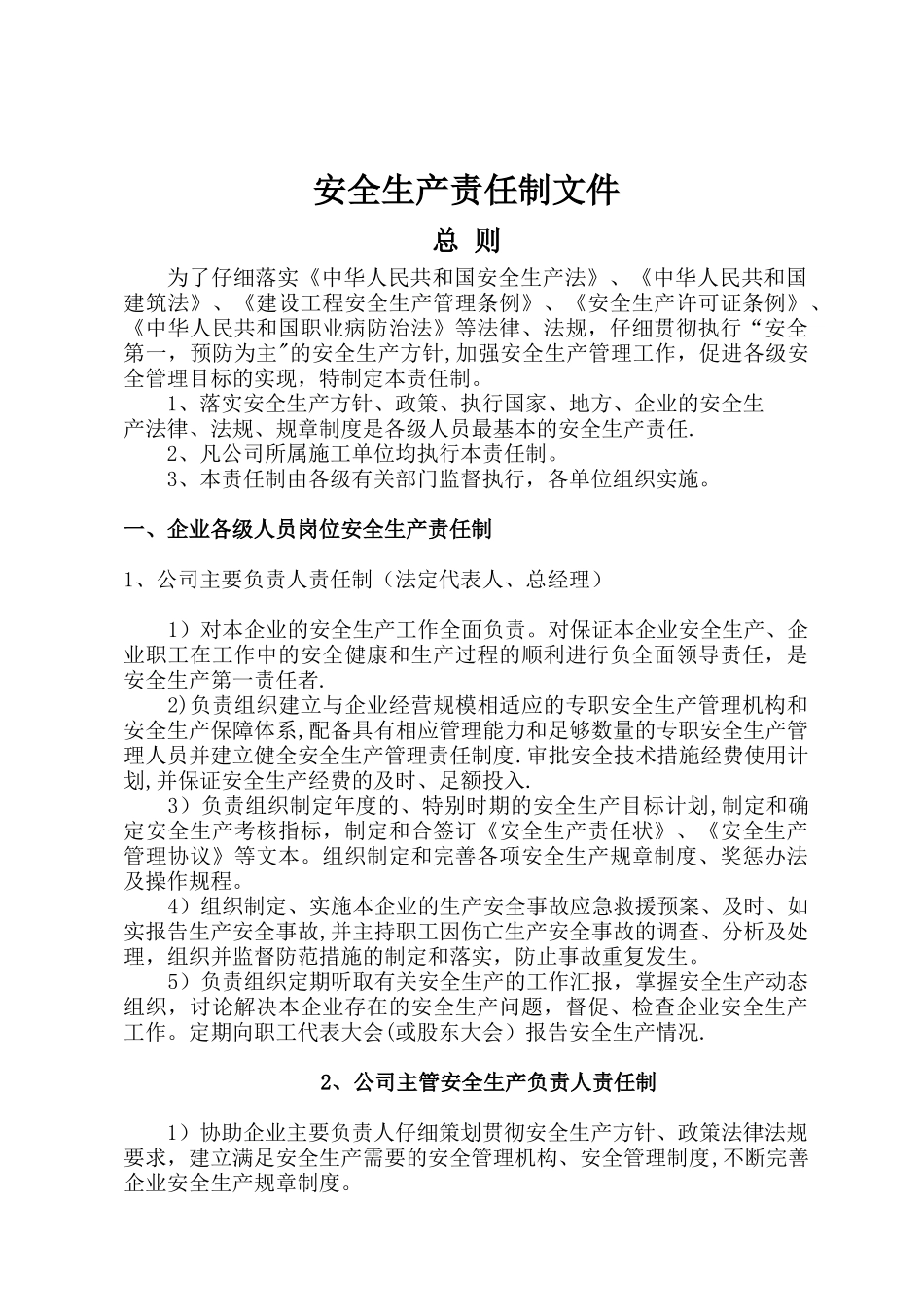 安全生产责任制文件(新)_第1页