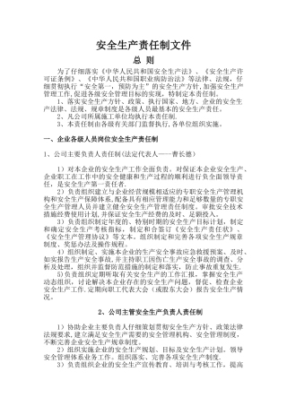 安全生产责任制文件1.1