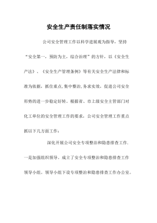 安全生产责任制落实情况