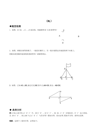 2025年八年级数学上册同步练习题全套