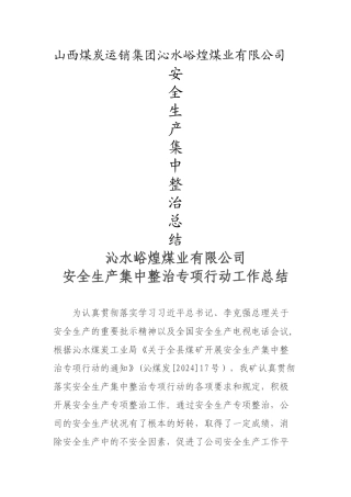 安全生产集中整治专项行动总结