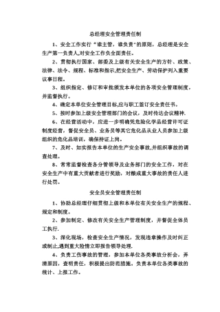 安全管理制度(无储存上墙)