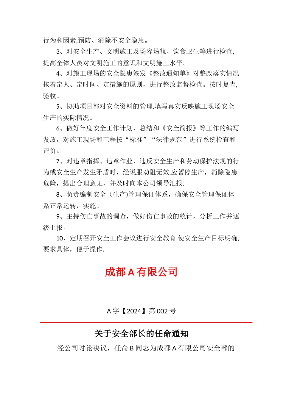 安全管理机构设置及任命文件_第2页
