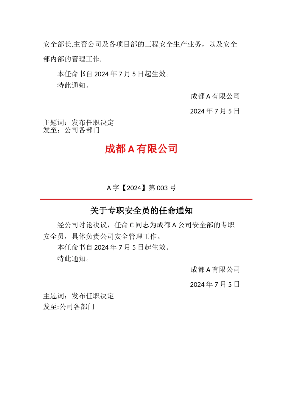 安全管理机构设置及任命文件_第3页