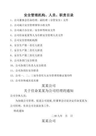 安全管理机构人员职责