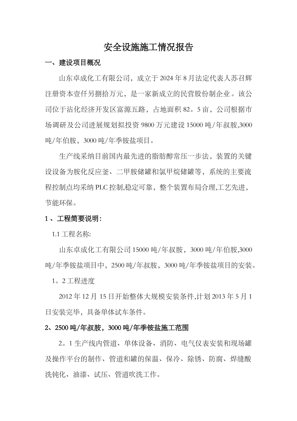 安全设施施工情况报告(范本)_第1页