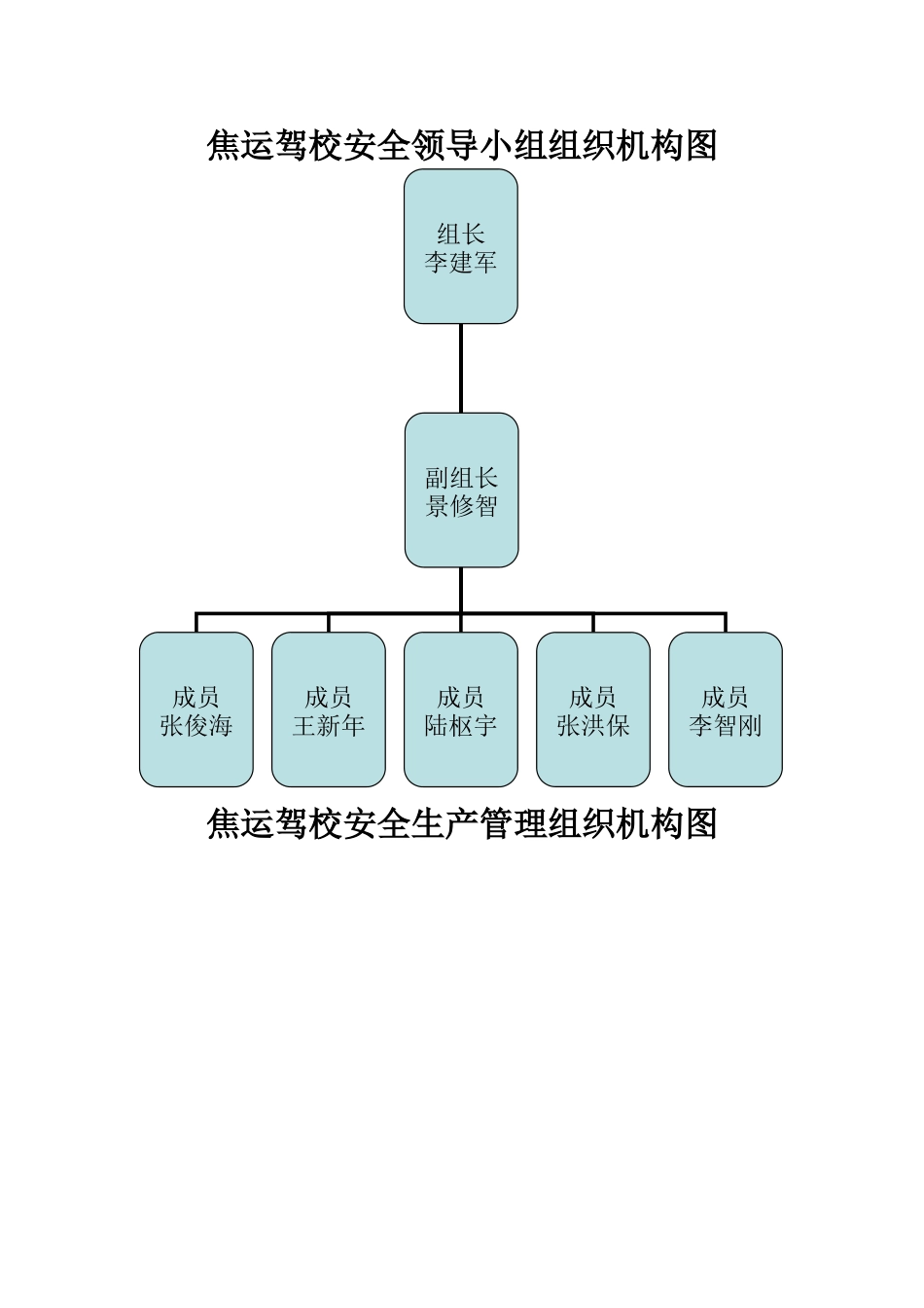 安全领导小组组织机构图_第1页