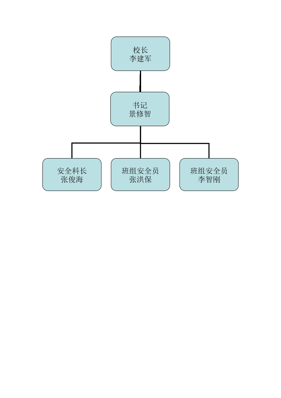 安全领导小组组织机构图_第2页