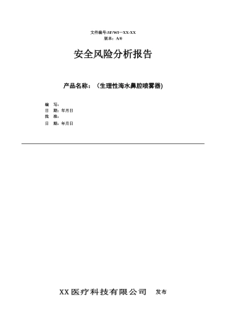 安全风险分析报告