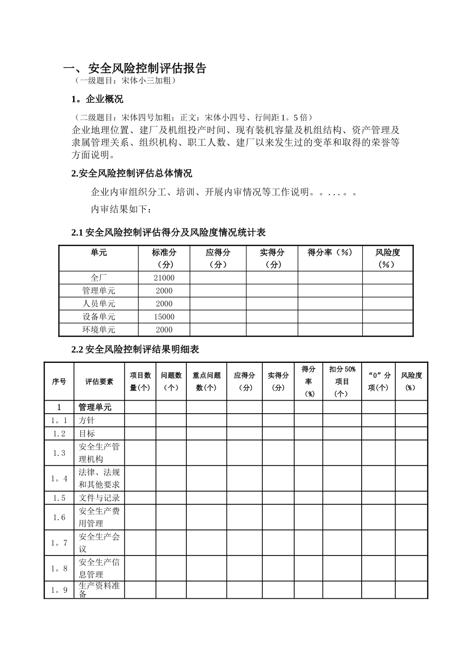 安全风险控制评估企业内审报告_第2页
