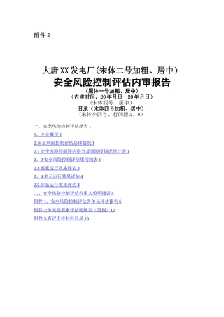 安全风险控制评估企业内审报告