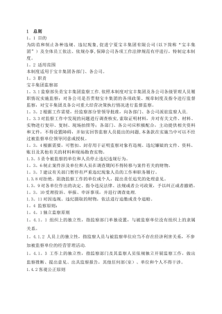 宝丰集团监察类管理制度
