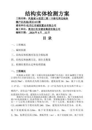 实体检测方案