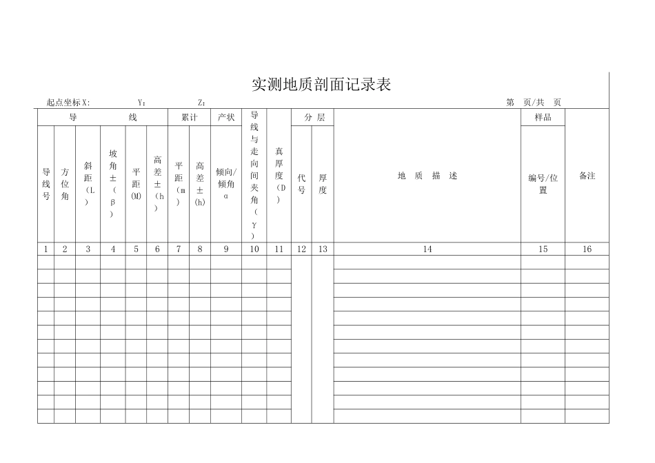 实测地质剖面记录表_第1页