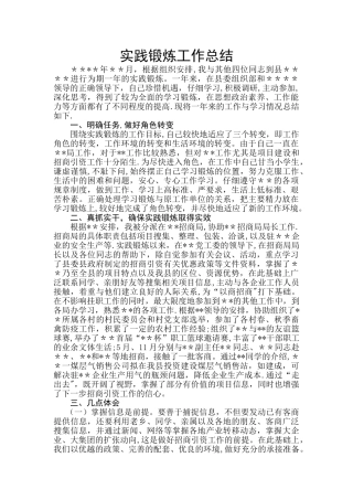 实践锻炼工作总结