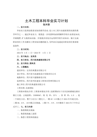 实践计划格式