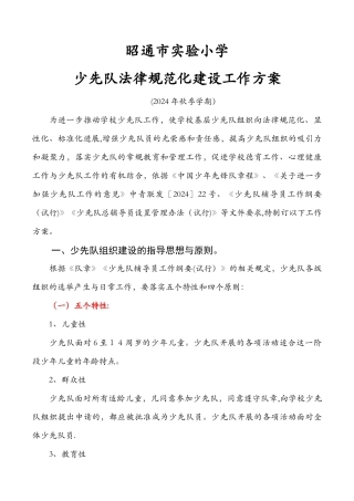 实验小学少先队规范化建设工作方案
