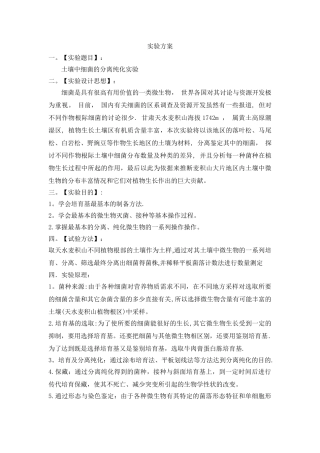 实验方案的格式