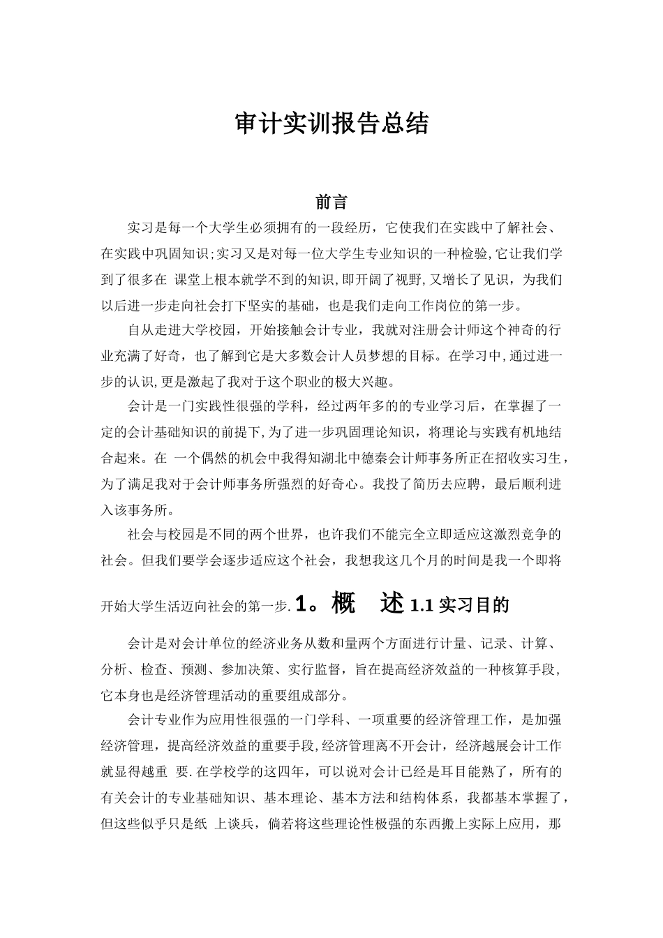 审计实训报告总结_第1页