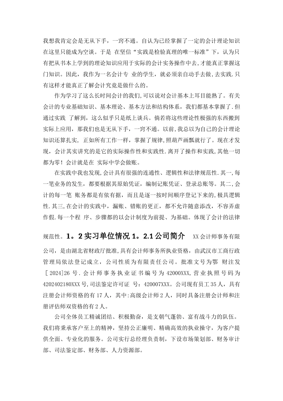 审计实训报告总结_第2页