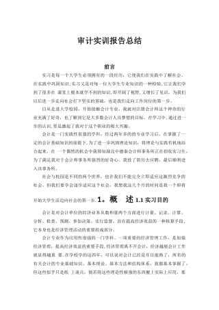 审计实训报告总结