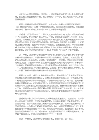 审计实验报告总结