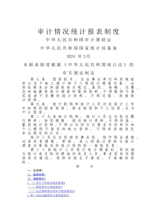 审计情况统计报表制度