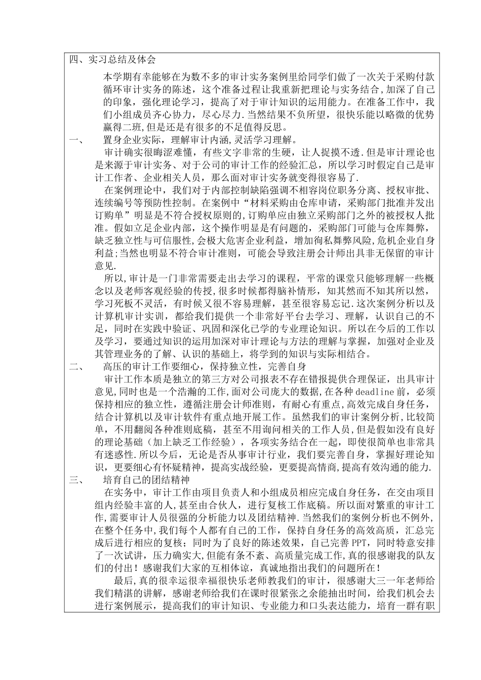 审计案例分析总结-审计实习报告_第1页