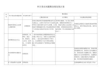 审计查出问题整改情况统计表