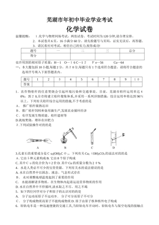 2025年化学包51历届中考真题芜湖市年初中毕业学业考试化学试卷教案
