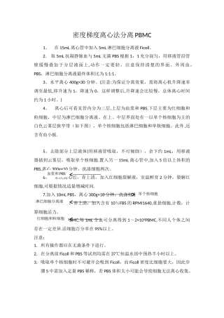 密度梯度离心法分离PBMC操作流程