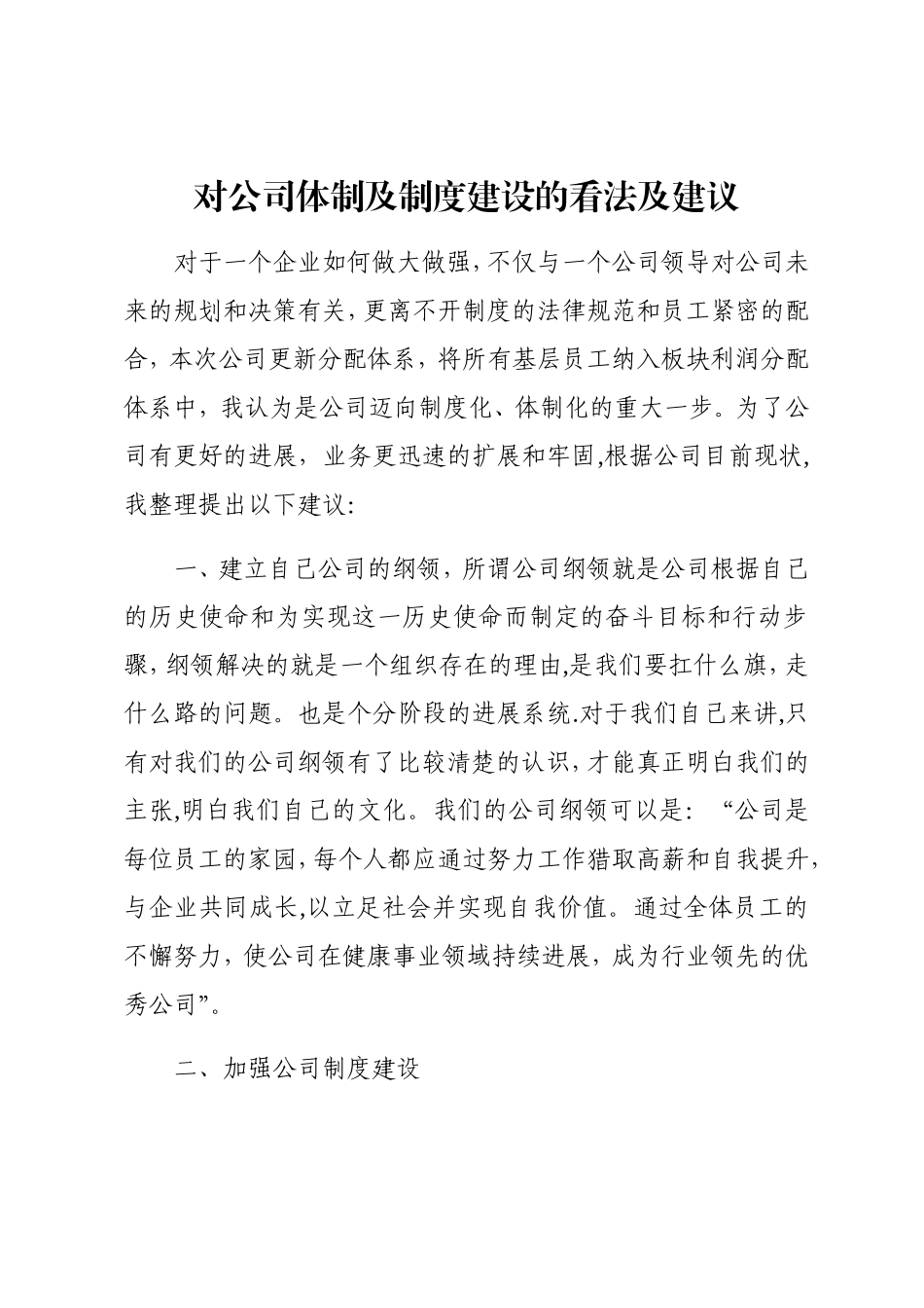 对公司体制及制度建设的看法及建议_第1页