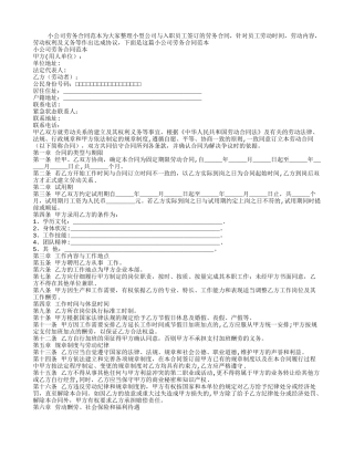 小公司劳务合同范本