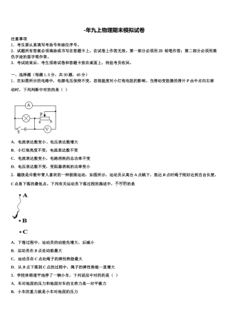 2025年池州市重点中学九年级物理第一学期期末学业水平测试模拟试题含解析
