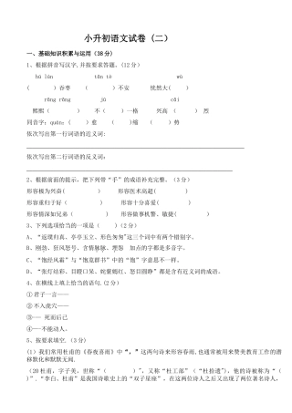 小升初语文试卷(精品多套)