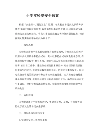 小学实验室安全预案